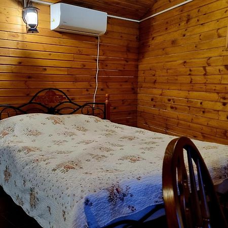 Castel Unghern Ivancea Kültér fotó