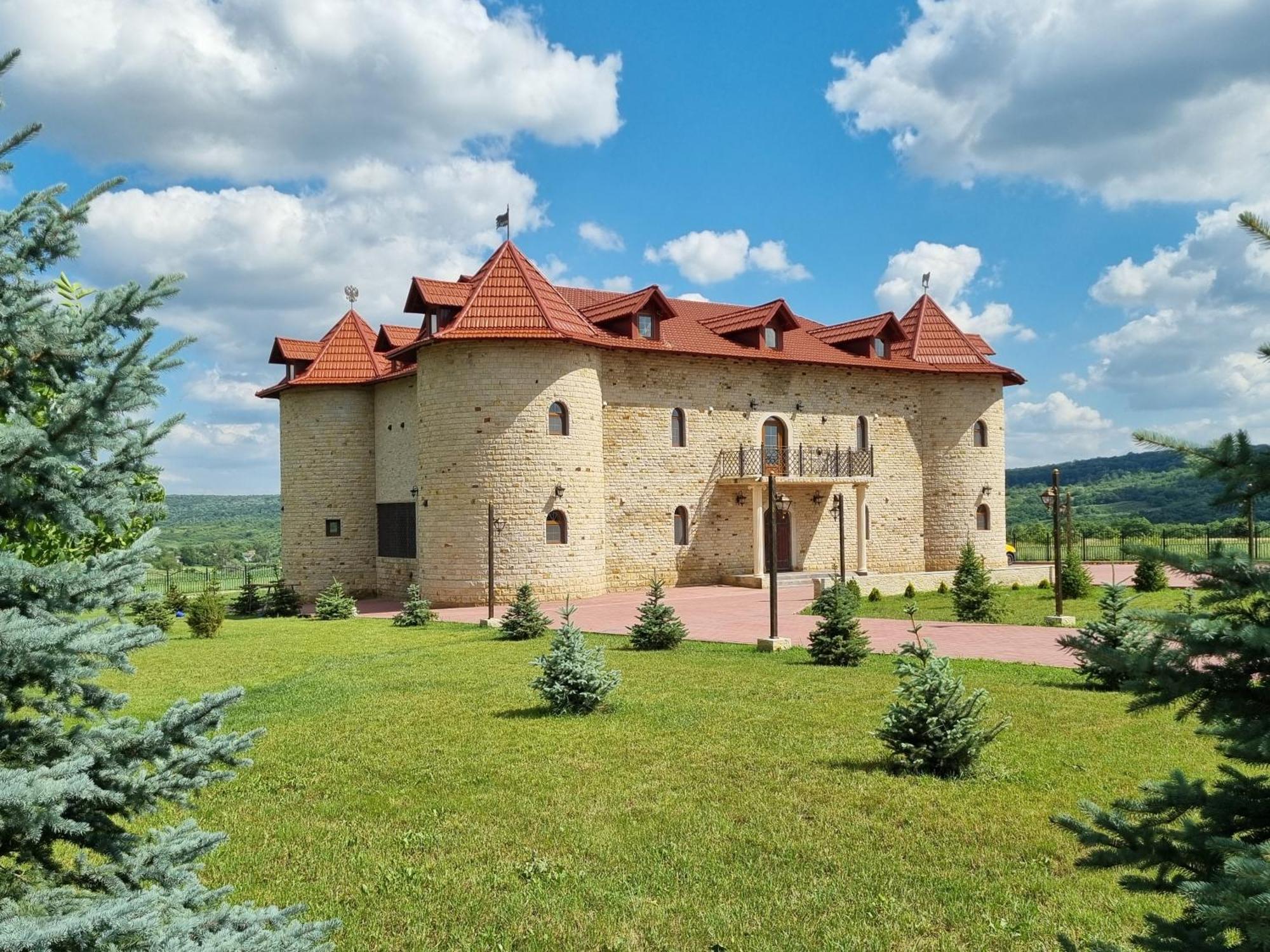 Castel Unghern Ivancea Kültér fotó